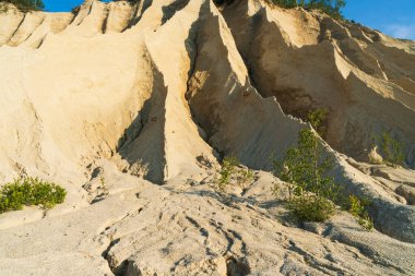 Antropojenik manzara: eski bir taş ocağındaki kumlu yamaçlar ve tepeler. Genç ağaçlar ve bitkiler aşınmış topraklarda büyüyor..