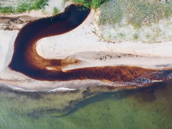 Estonya 'da Baltık Denizi' ne akan tanin zengini bir nehrin hava aracı görüntüsü. Soyut doğa kalıbı ve arkaplan.