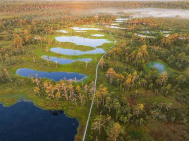 Güneş doğarken Estonya 'nın Viru Bataklığı' ndaki el değmemiş havuzlar ve çam ağaçları arasında dolanan ahşap tahta patika manzaralı hava aracı..