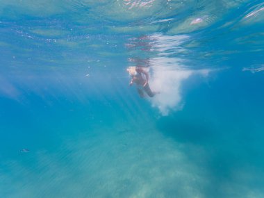 Bikinili genç bir kadın, berrak mavi bir tropikal okyanusta yüzüyor. Yüzeyde güneş ışınları parlıyor..