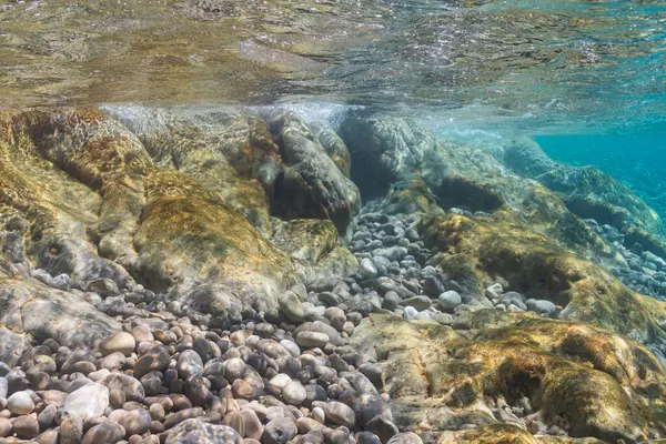 Güneşli bir günde kristal berrak turkuaz suda çakıl taşı kaplı kayalık bir sahil manzarası..