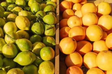 Taze yeşil limonlar ve olgun portakallar yerel bir çiftçi pazarında, parlak güneş ışığı altında ahşap sandıklarda..