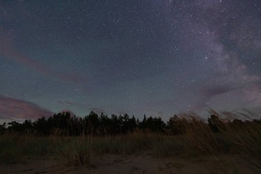 Estonya 'nın kumlu bir kıyısındaki çam ormanının üzerindeki yıldızlı bir gecede Samanyolu Galaksisi' nin nefes kesici manzarası..