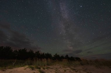 Parlak Samanyolu Galaksisi Baltık kıyısındaki sakin kum tepeciği ve ormanın üzerindeki yıldızlı gece gökyüzü boyunca uzanır..