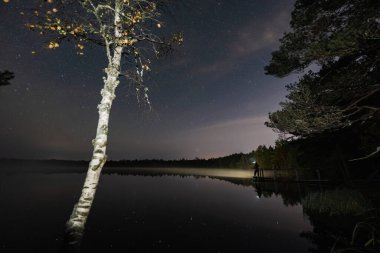 Tek başına, farlı bir insan ahşap bir iskelede duruyor, sonbahar Estonya 'sında sisli bir göle bakıyor..