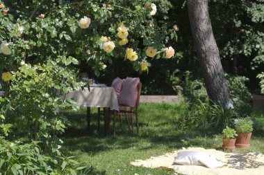 Bahçeye tırmanan bir ayın çiçekli çalısı yükseldi. Bahçede kahvaltı için bir masa..