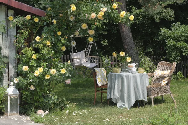 stock image Breakfast place in the garden (table and wicker chair) near the blooming rose 