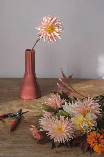 Dahlia flower in a ceramic vase cut flowers and pruning shear on the florist\'s table in the sunlight