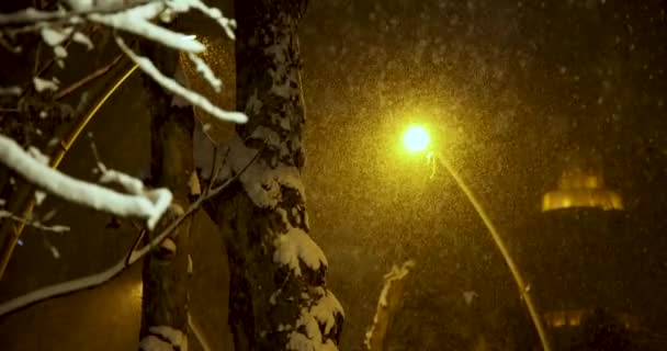 Небольшая Дрожащая Камера Сильным Снегопадом — стоковое видео
