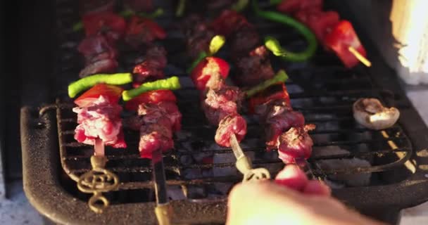 Espetos Carne Grelhada Cozinhando Tomates Pimentas Verdes Cogumelos — Vídeo de Stock