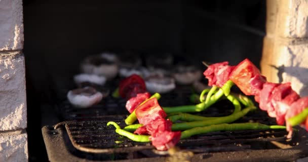 Mangala Coloca Espetos Carne Com Tomates Pimentas Verdes Cogumelos Câmera — Vídeo de Stock