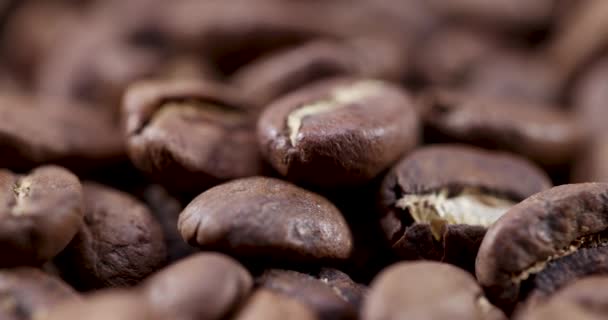 Kahve Fasulyeleri Döner Makro Çekim Yakın — Stok video