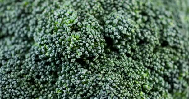 Close Macro Shot Broccoli Turning Left — Stock Video