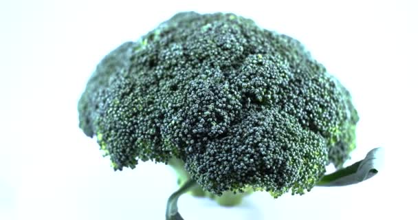 Slow Motion Shot Broccoli Turn Left — стоковое видео