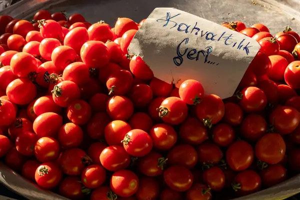 Pazar Günışığında bir sepet vişneli domates.