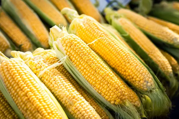 Marketteki mısır koçanları.