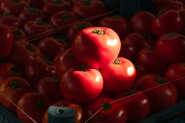 Domates Sepeti Piyasada Dramatik Işık