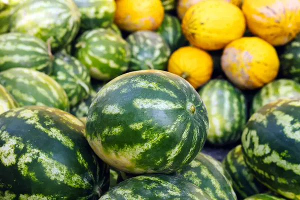 Perfect looking watermelons in the market place