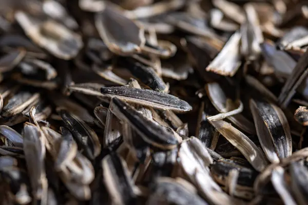 Tuzlu Siyah Fasulye Kabukları Macro Sho