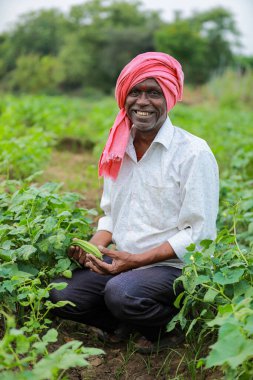 Bezelye tohumu, mutlu Hintli çiftçi, fakir çiftçi.