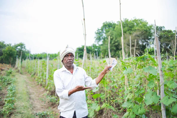 Indian farmer holding tomato in hands, happy farmer