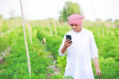 Genç Hintli çiftçi akıllı telefon gösteriyor, çiftçi telefonda konuşuyor, mutlu Hintli çiftçi.