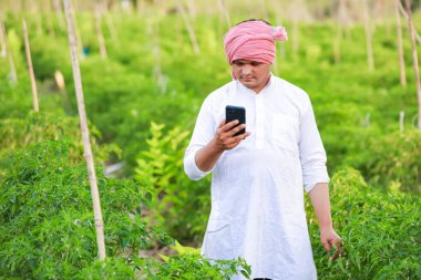 Genç Hintli çiftçi akıllı telefon gösteriyor, çiftçi telefonda konuşuyor, mutlu Hintli çiftçi.