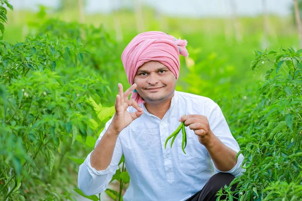 Індійський Щасливий Фермер Тримає Зелений Чилі Зелений Чилі Фермер Молодий — стокове фото