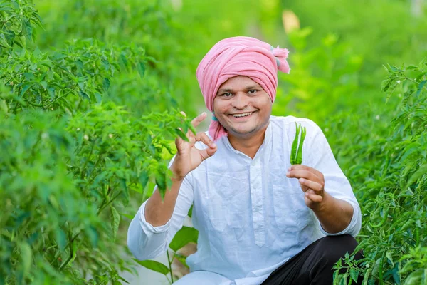 Indiska Happy Jordbrukare Som Håller Grön Chili Grön Chili Jordbruk — Stockfoto