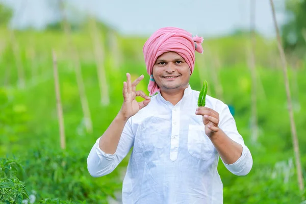 インディアンハッピー農家 グリーンチリ グリーンチリ農業 若い農家 — ストック写真