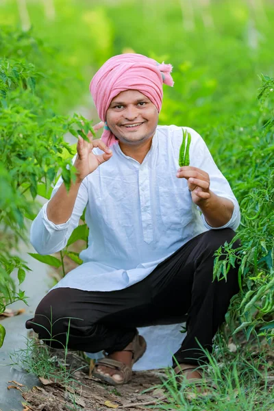 Індійський Щасливий Фермер Тримає Зелений Чилі Зелений Чилі Фермер Молодий — стокове фото