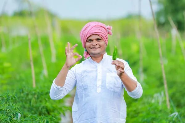 Indian Happy Boer Met Groene Chili Groene Chili Landbouw Jonge — Stockfoto