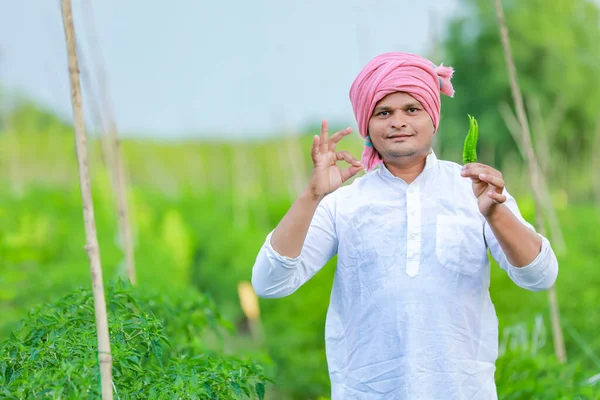 Indian Happy Farmer Mit Grünem Chilli Grünem Chilli Farming Jungbauer — Stockfoto