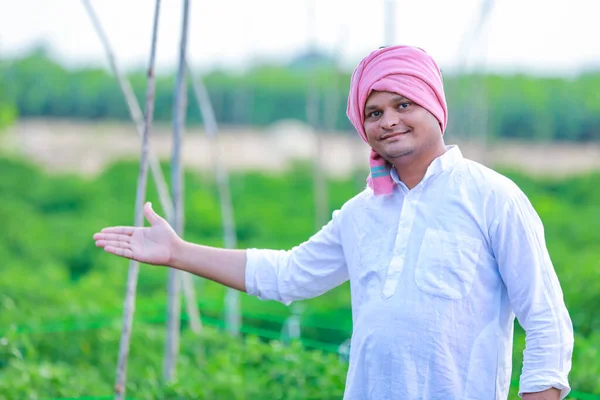 Индийский Счастливый Фермер Держит Зеленый Чили Зеленый Чили Фермерства Молодой — стоковое фото