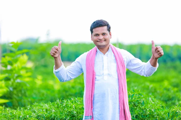 Indian Happy Farmer Holding Green Chilli Green Chilli Farming Young — Fotografia de Stock