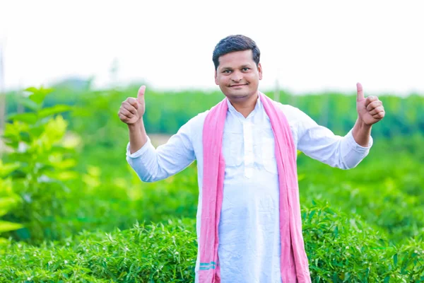 Ινδός Ευτυχής Αγρότης Εκμετάλλευση Πράσινο Τσίλι Πράσινο Τσίλι Γεωργία Νεαρός — Φωτογραφία Αρχείου