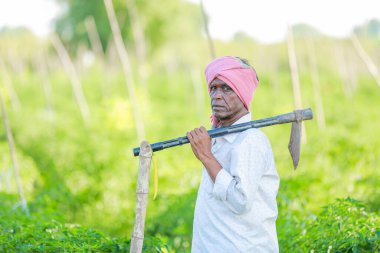 Mutlu Hintli çiftçi, elinde tarım aletleri tutuyor.