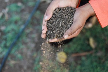 Hintli çiftçi toprağı elinde tutuyor, mutlu çiftçiler.