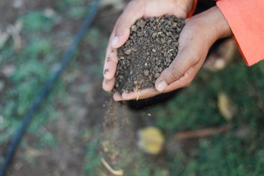 Hintli çiftçi toprağı elinde tutuyor, mutlu çiftçiler.