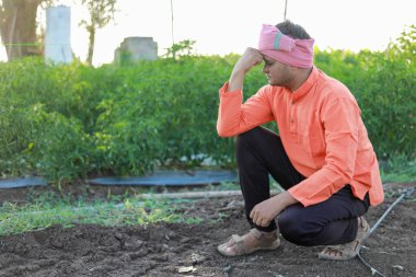 Mutlu Hintli çiftçi, genç kum çiftçisi, çiftlikte kayıp