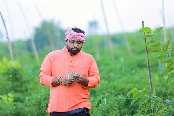Agricultor Indiano Feliz Fazenda Chilli Verde — Fotografia de Stock