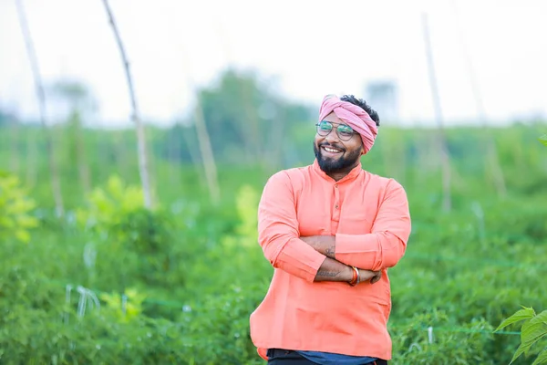 Щасливий Індійський Фермер Стоїть Зеленій Фермі Чіллі — стокове фото