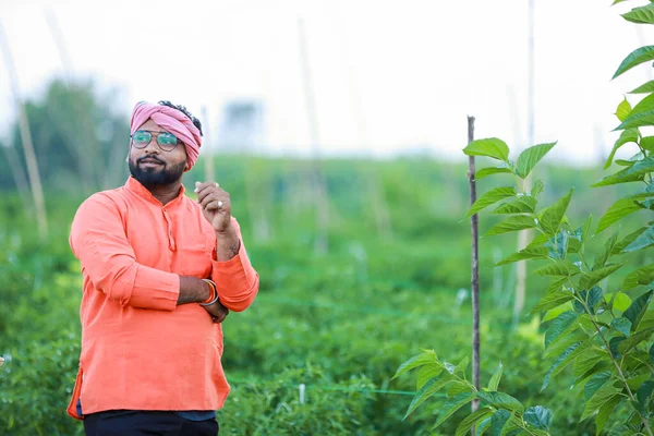 Счастливый Индийский Фермер Стоящий Зеленой Ферме Чили — стоковое фото