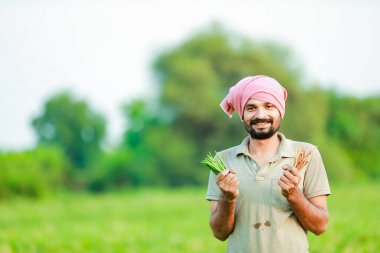 Maharashtra bak çiftçi, mutlu çiftçi Cwopea çiftliğinde duruyor