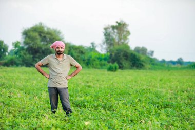 Maharashtra bak çiftçi, mutlu çiftçi Cwopea çiftliğinde duruyor