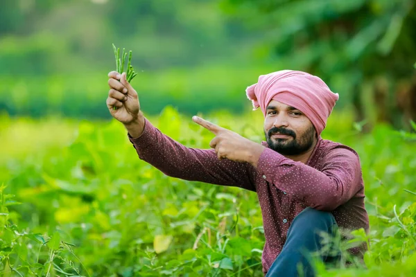 Індійське Виноробство Фермер Тримає Cwopea Руках Щасливий Фермер — стокове фото
