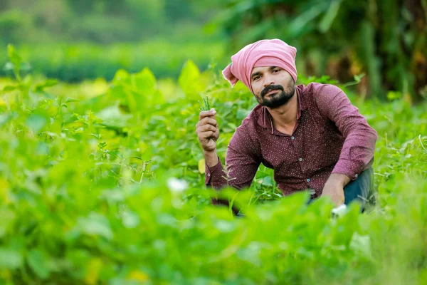Індійське Виноробство Фермер Тримає Cwopea Руках Щасливий Фермер — стокове фото