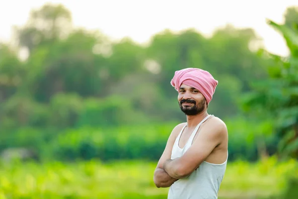 Ινδική Καλλιέργεια Κουφοξυλιάς Αγρότης Εκμετάλλευση Cwopea Στα Χέρια Ευτυχισμένος Γεωργός — Φωτογραφία Αρχείου