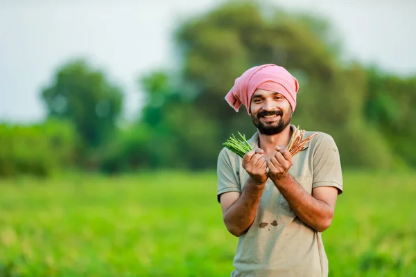 Hint Cwopea Çiftçiliği Cwopea Elinde Tutan Çiftçi Mutlu Çiftçi — Stok fotoğraf