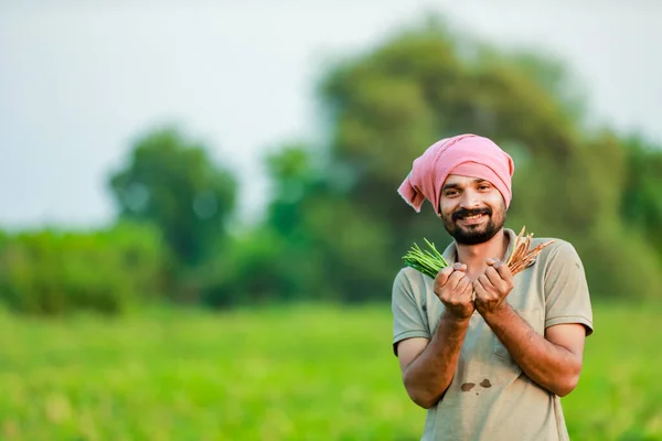 Indiánská Kwopea Farmaření Farmář Držící Cwopea Rukou Šťastný Farmář — Stock fotografie